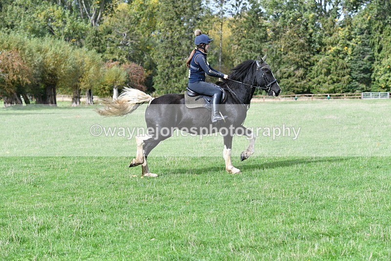 WJ5_9430 - Time 13:03 to 13:25