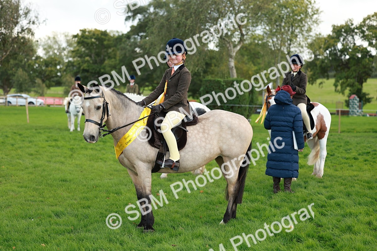 SBM_28891 - S7 - Novice & Newcomer Ridden Pony