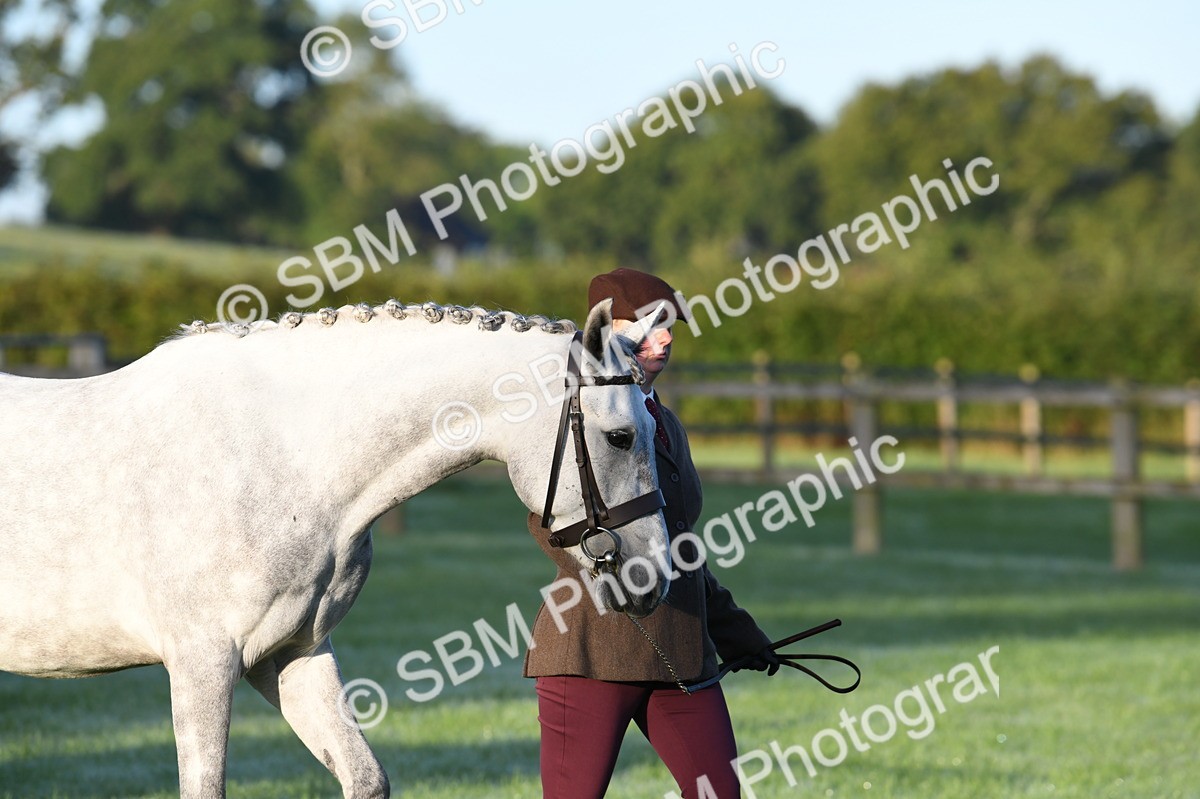 SBM_32455 - S15 - Condition & Turnout In Hand