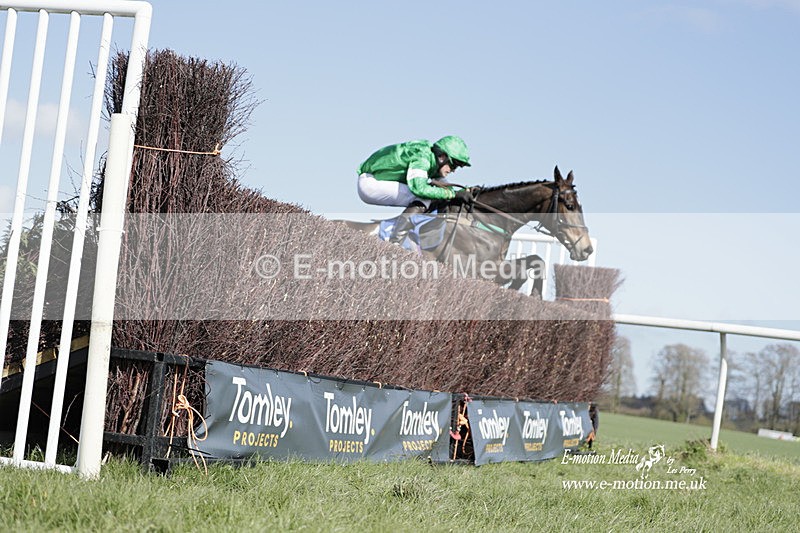 PtP 100423 791 - Old Berkshire Point-to-Point Lockinge 10/04/23