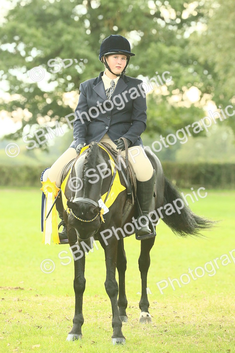 SBM_75121 - Ridden Pony Supreme Championship