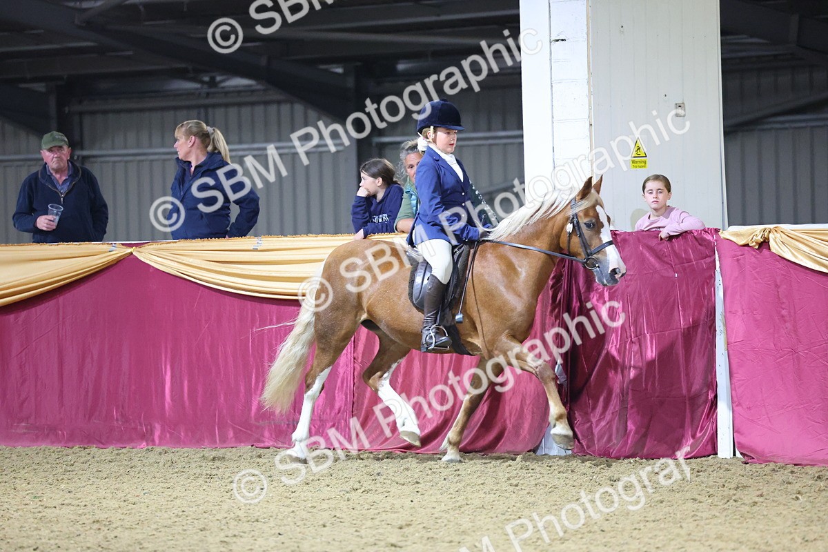 0B8A4592 - Class Q Style & Performance Champ