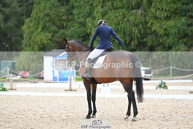 230813-141235-07696 - Cls 13 Medium Bronze 13.15 to End