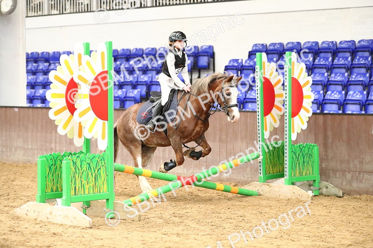 SBM_001075 - Class 3 - 50cm