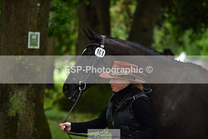 240522-155058-00530 - 101-MORELANDS_CASANOVA-Daisy_Bathe