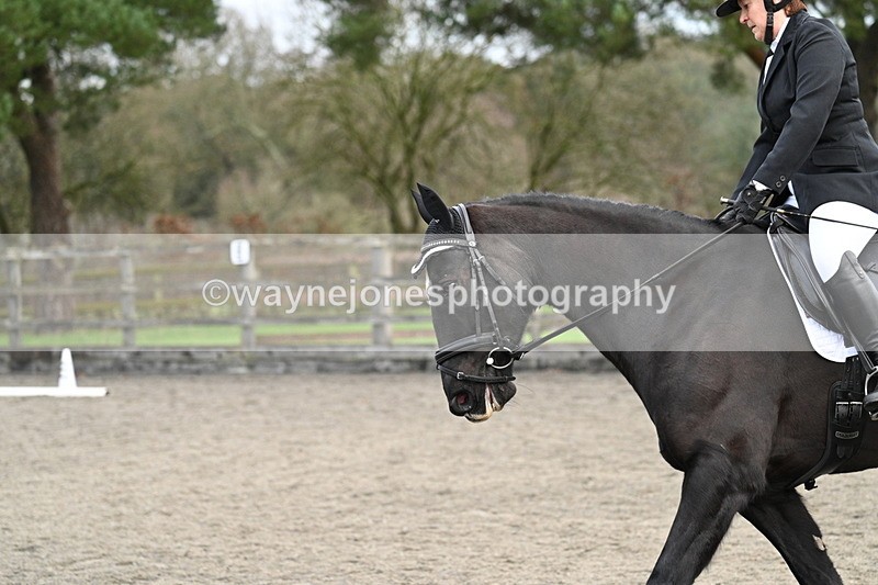 WJ7_5038 - Time 11:35 to 11:48