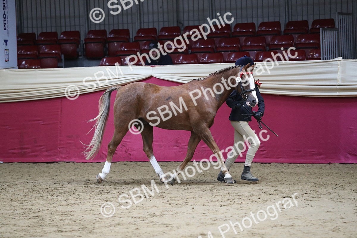 SBM_04952 - Class 8R- Regional -IH Veteran