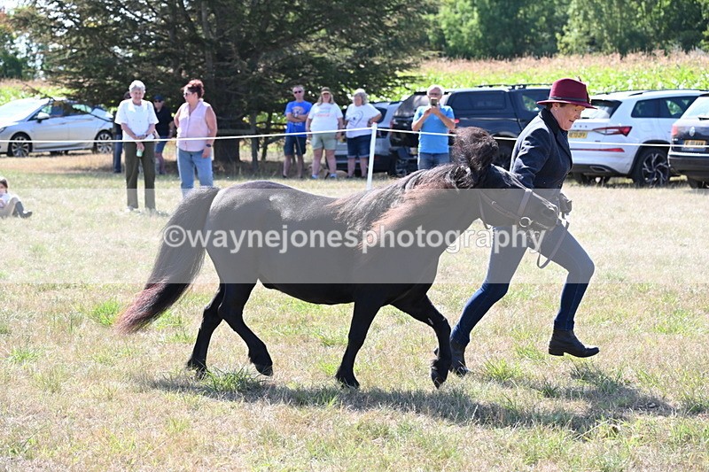 WJ6_4957 - Class 17 Mountain & Moorland