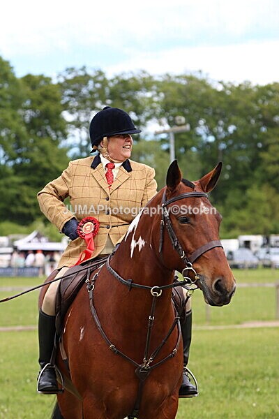 IMG_2866 - Working Hunter