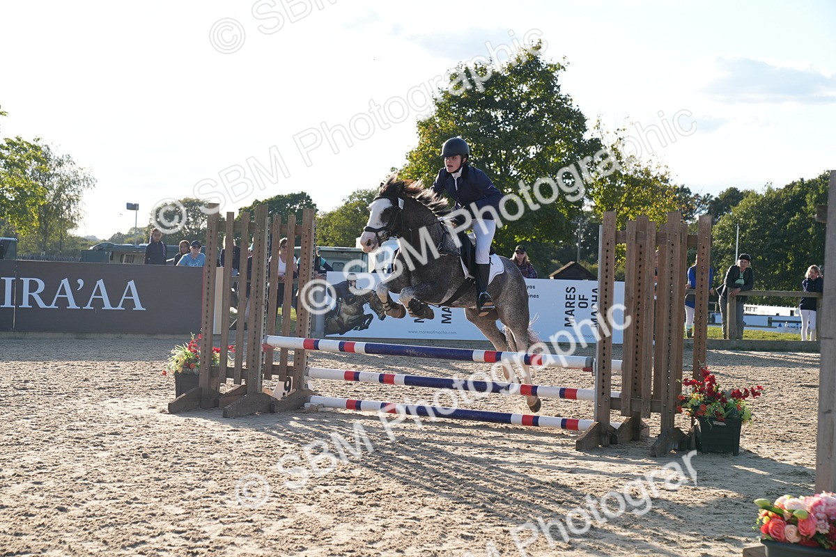 SBM_29969 - J44 - Super Speedy Scurry Open - 70cm