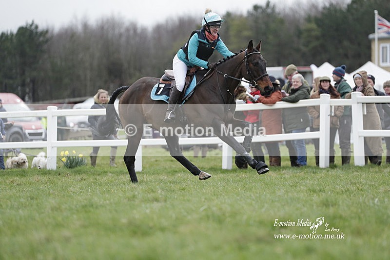 PtP 260323 0202 - New Forest Hounds Point-to-Point Larkhill 26/03/23