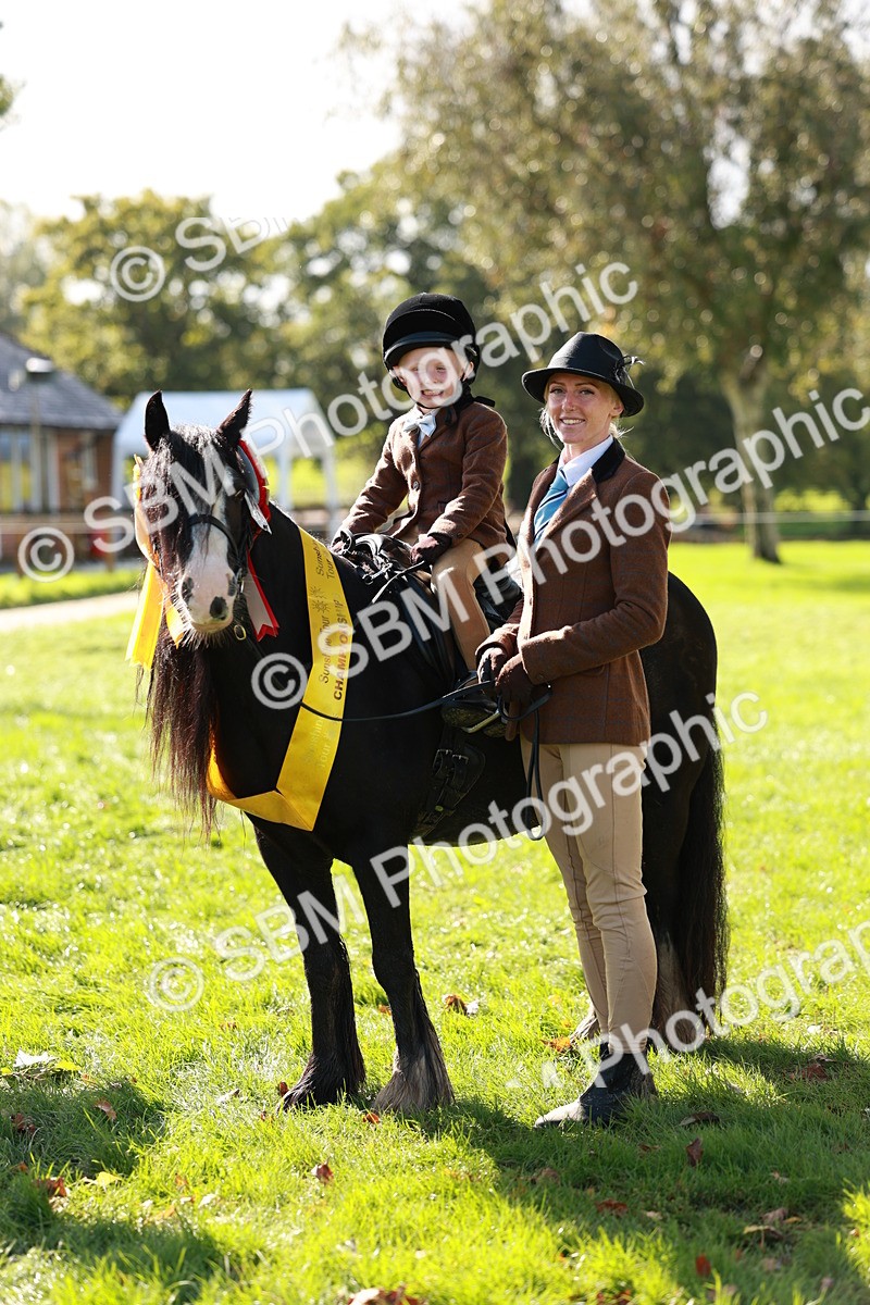 SBM_42190 - S32 - Mountain & Moorland Working Hunter Pony