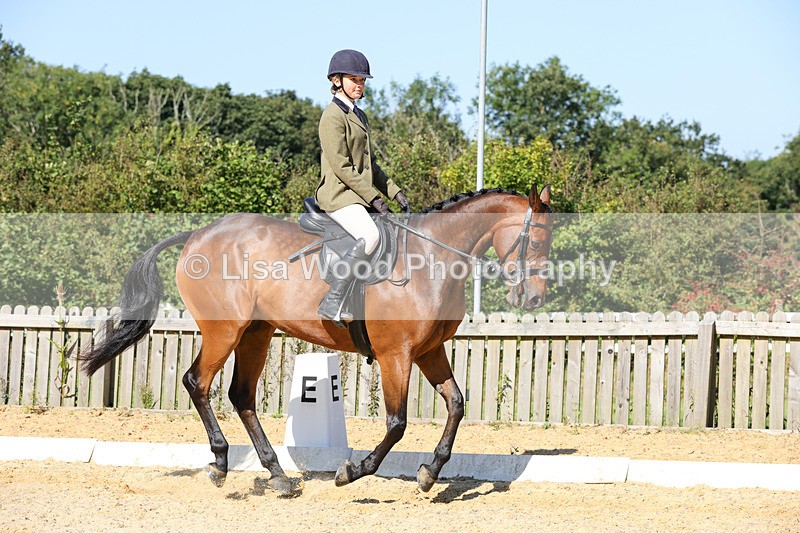 1X9A7897 - Class 10:Riding Horse