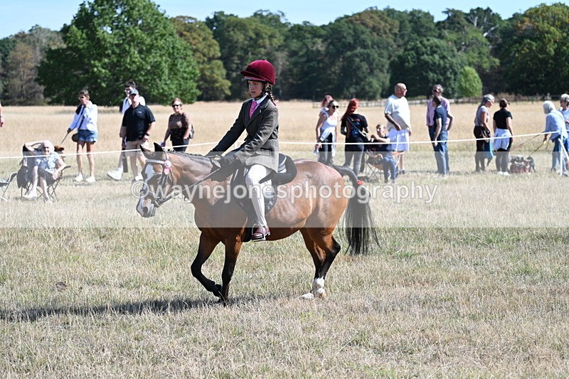 WJ7_4066 - Class 9 Mountain & Moorland Ridden