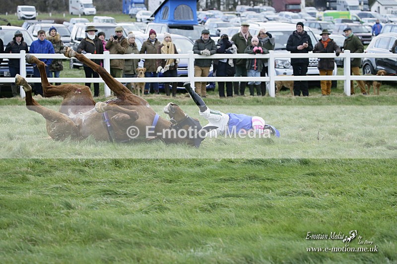 PtP 281121 0585 - Hursley Hambledon Point-to-Point Larkhill 28/11/21