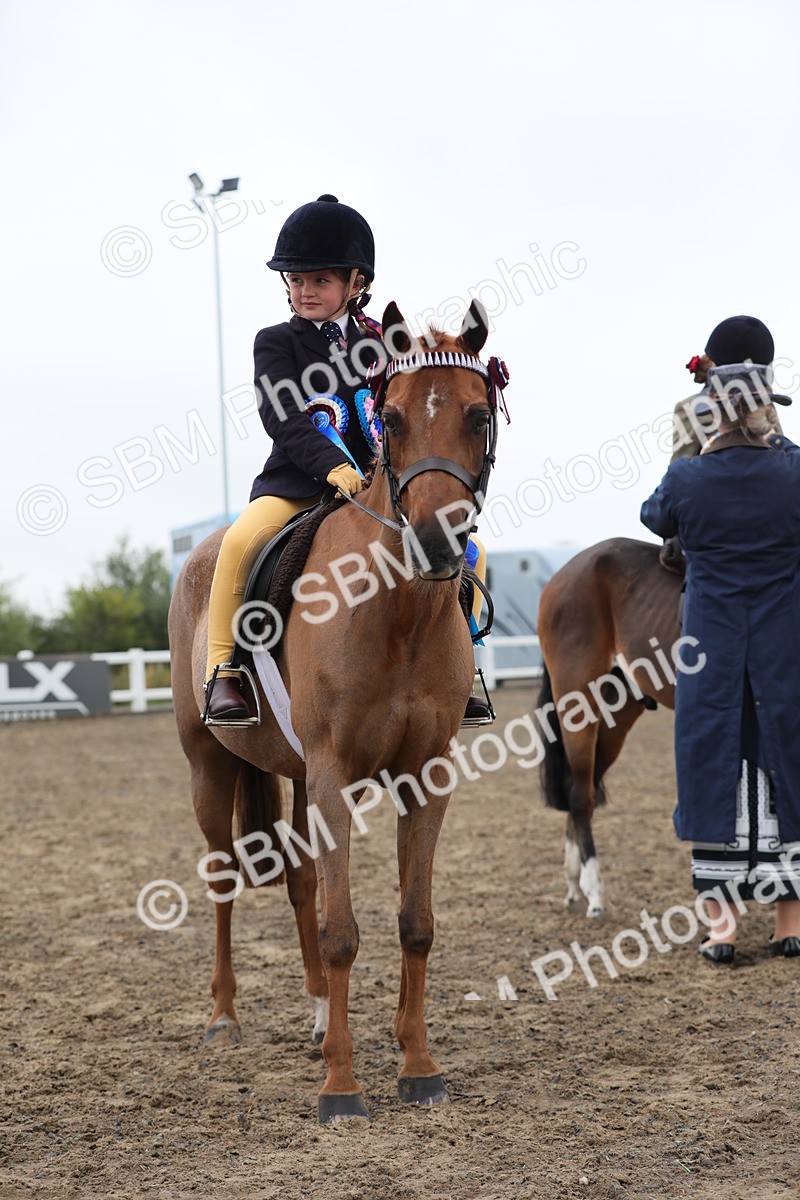 SBM_21887 - Class 806 - Young ridder 10 Yr & Under