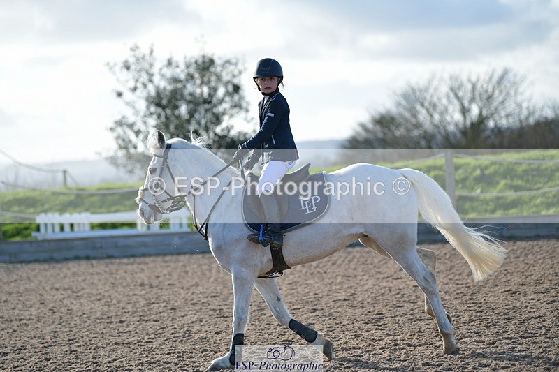 240211A-145051-03343 - Springboard