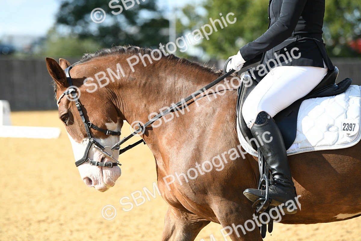 SBM_27098 - D16 - Small Tour Championship - Novice 28
