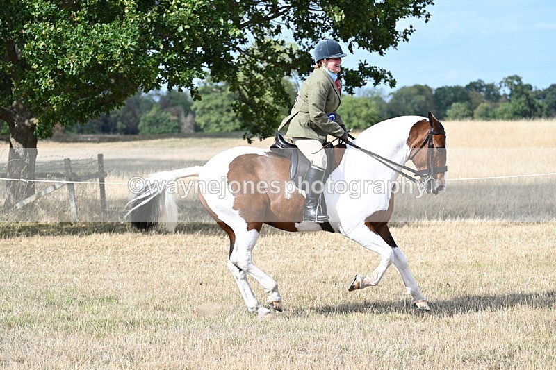 WJ7_7522 - Class 14 Ridden Coloured