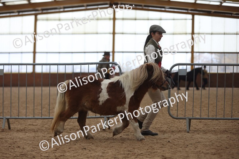 20251109-0451 - Championship