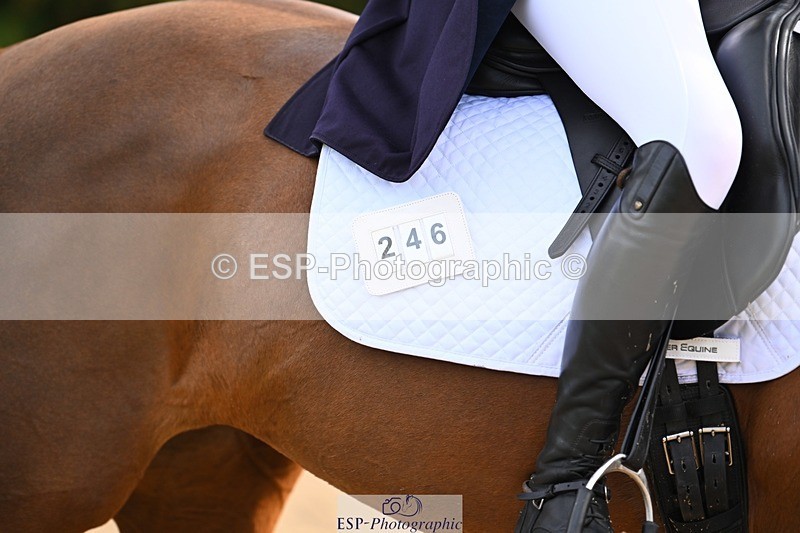 231021-134257-18521 - 246-NEDS.LEGACY-Araminta.Spencer-Churchill-DR