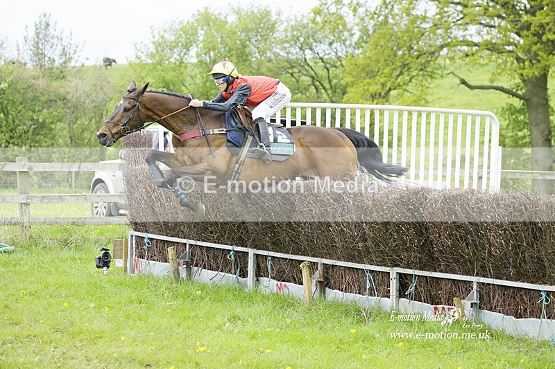 PtP 020522 358 - Mollington Races Point-to-Point 02/05/22