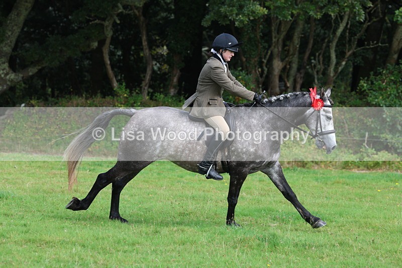 3E7A6135 - Working Hunter Championship