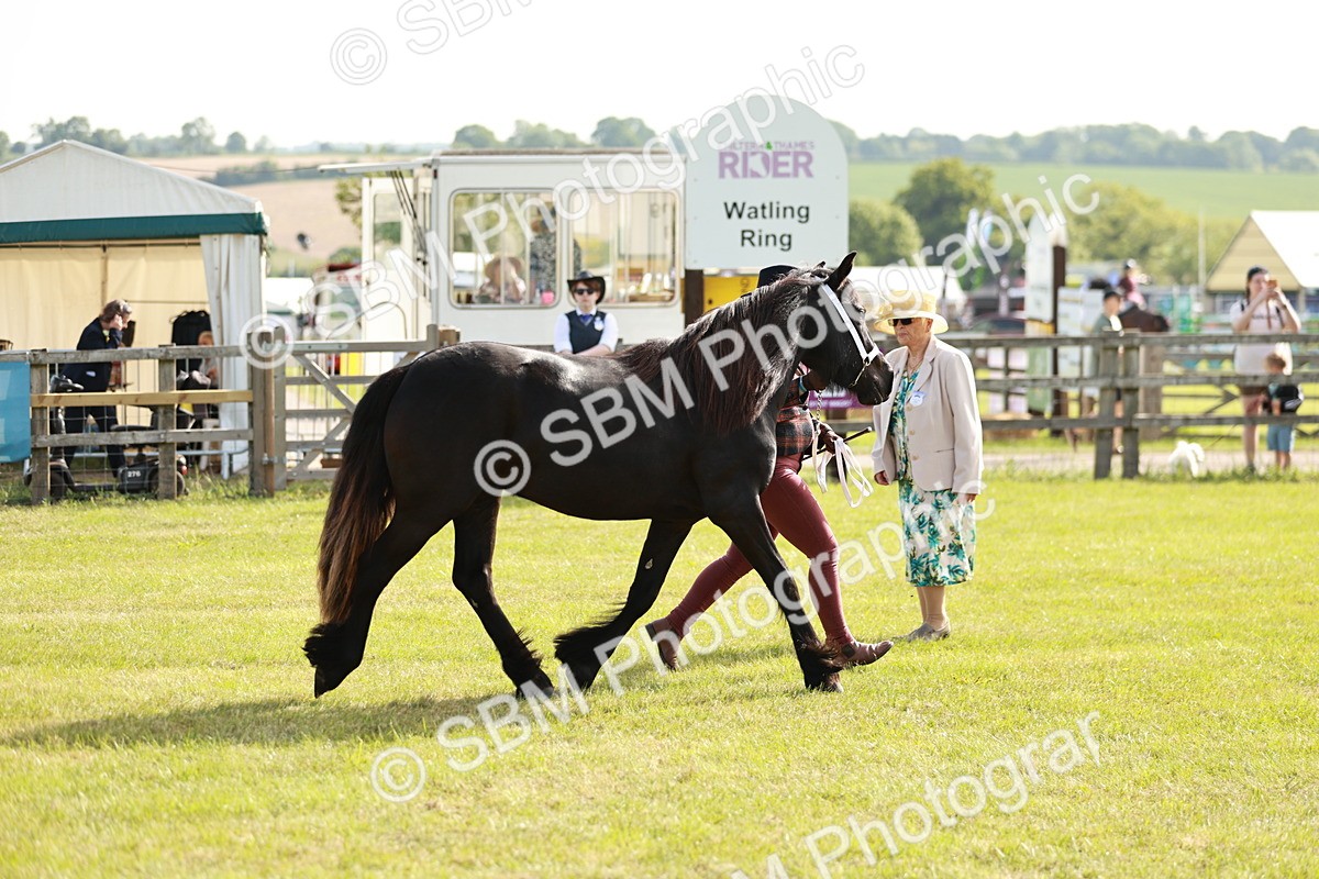SBM_00726 - Class 14-23 - Mountain & Moorland In Hand Non Welsh