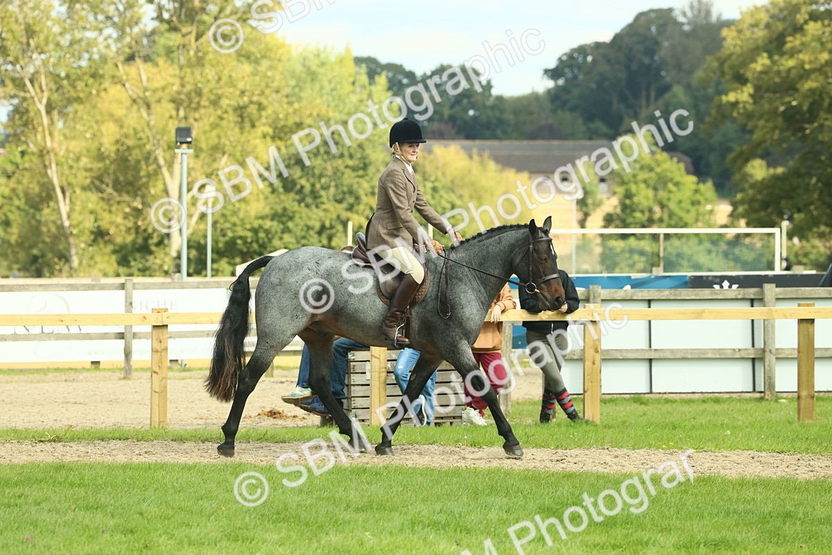 SBM_62604 - S63 - Other Coloured Horse Ridden