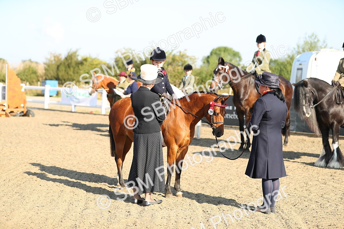 SBM_00383 - Class 41 Best Turned Out Ridden