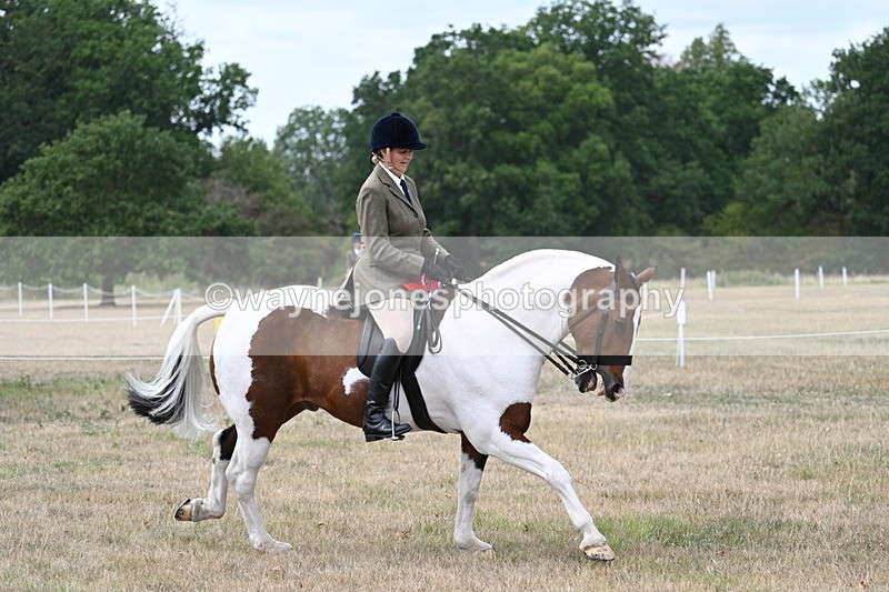 WJ7_5659 - Class 12 Ridden Cob