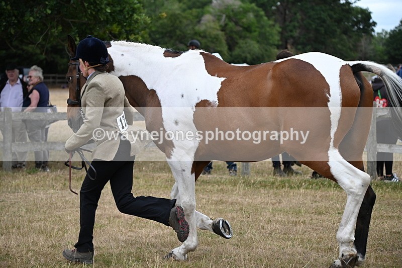 WJ6_8149 - Class 10 Coloured in Hand