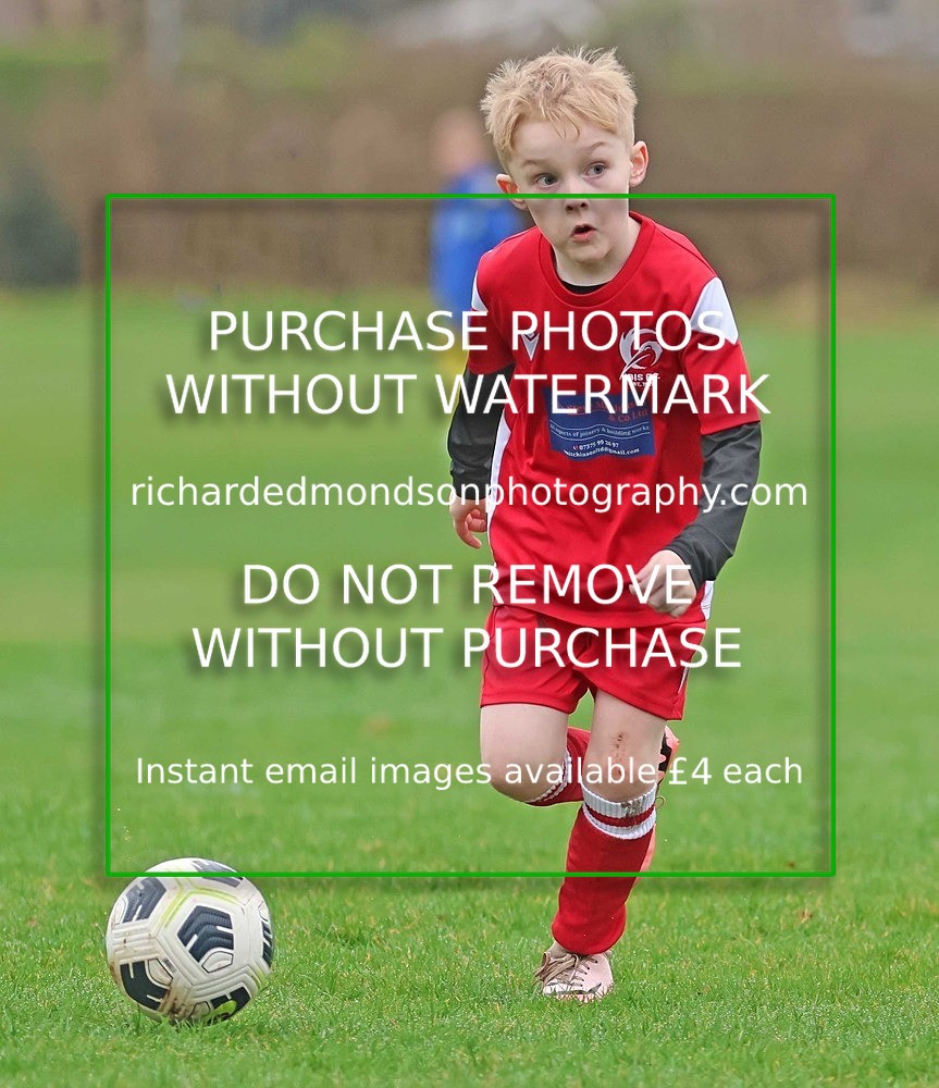 533A0792 - Ibis Under 7's (28/2/26)