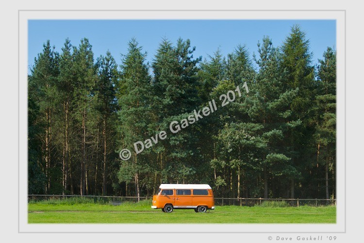 DSC_5893 - Version 4 - VWs
