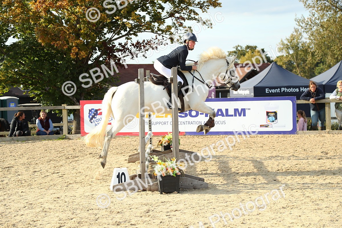 SBM_53563 - J8 - Junior Pony 65cm Championship
