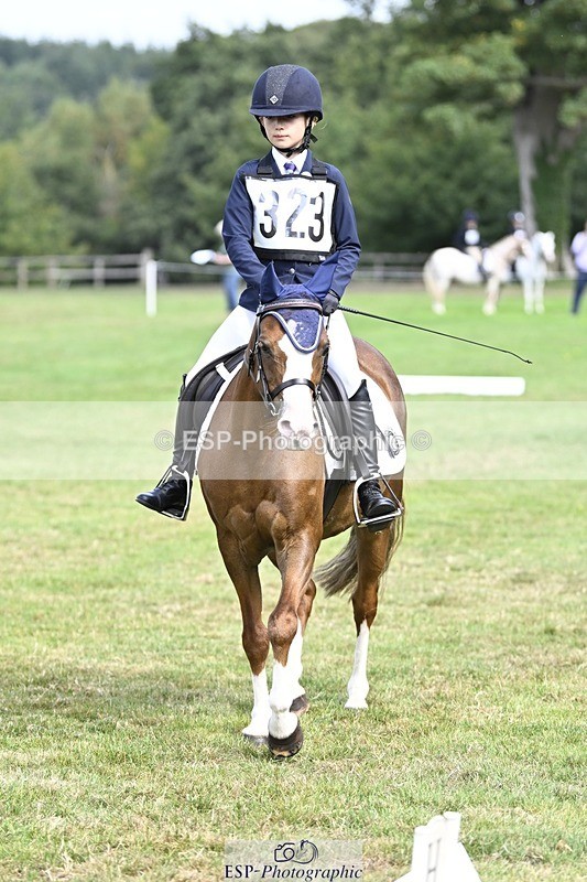 250821A-104416-14504 - DR 10.00 to 11.00