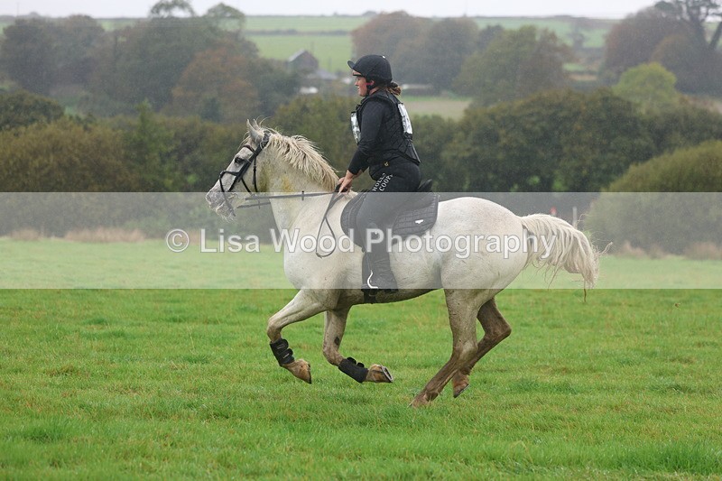 3E7A0971 - Class 1: 65cm: Rails