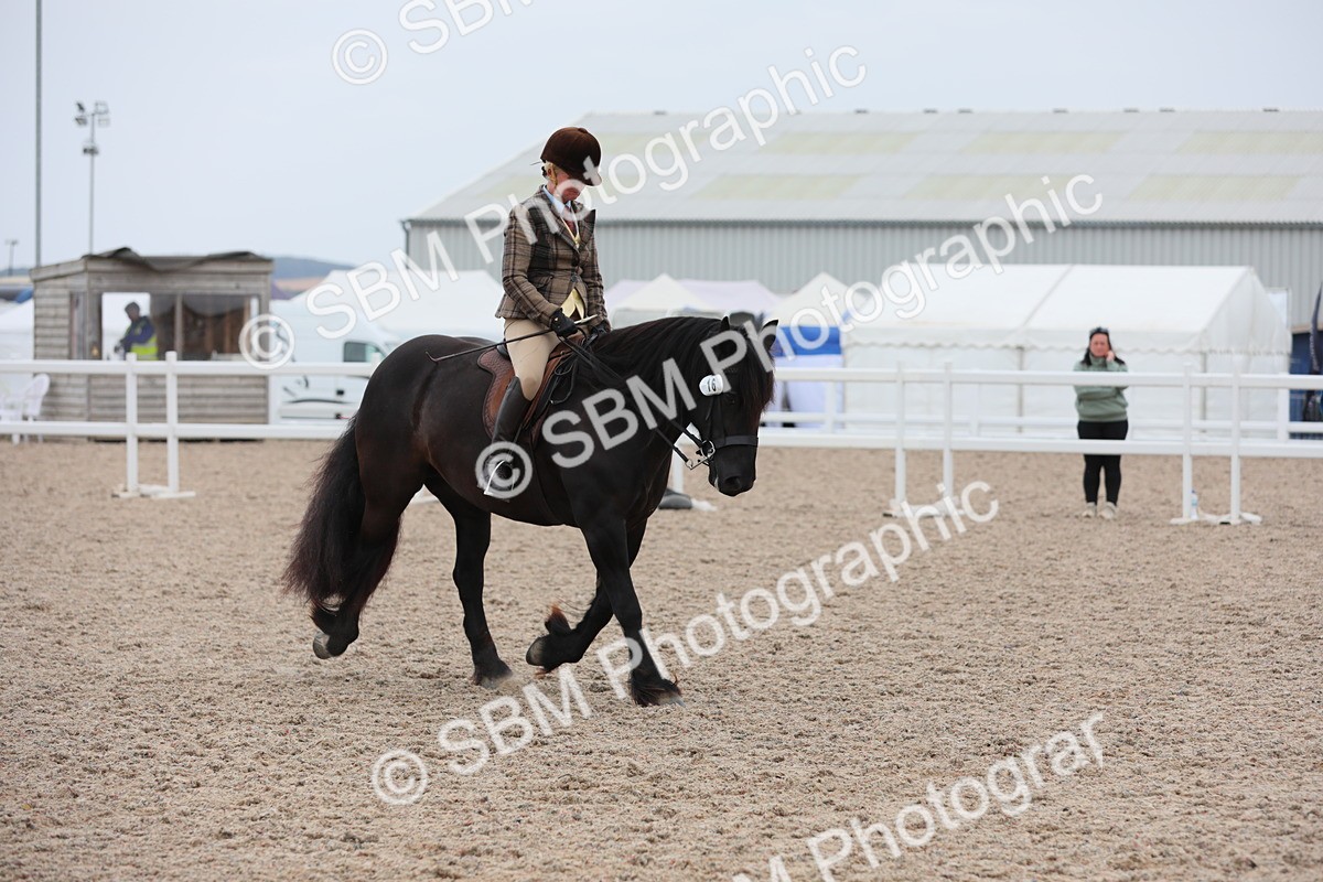 SBM_18083 - Class 316 Best Pony/Rider Combination