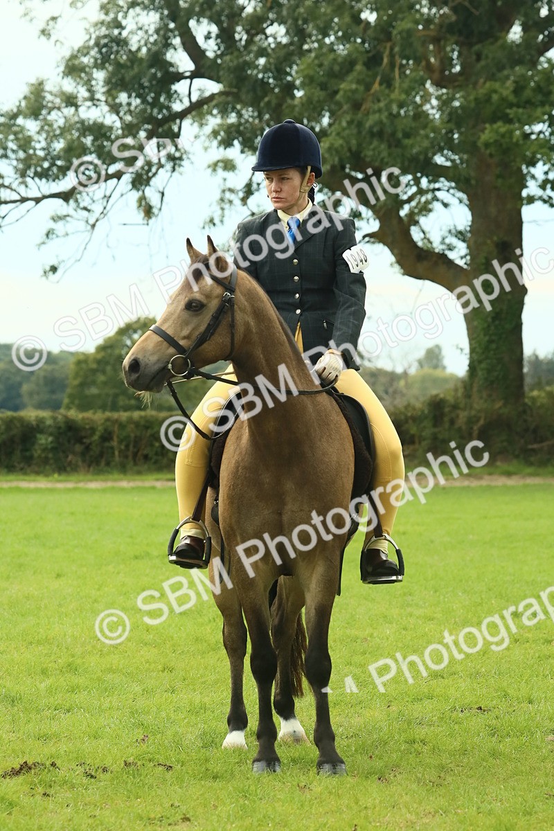 SBM_69987 - S59 - Mountain & Moorland Ridden Small Breeds