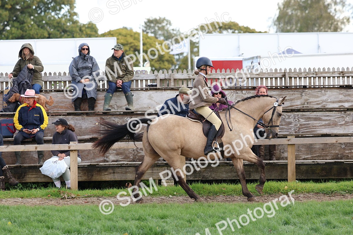 SBM_47684 - S28 - Veteran Ridden