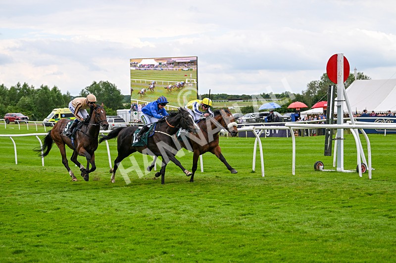 180624-Race 4-Animate-0448 - Race 4