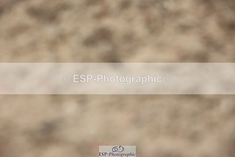 250621-141121-09315 - Cls 38 - FEI PSG