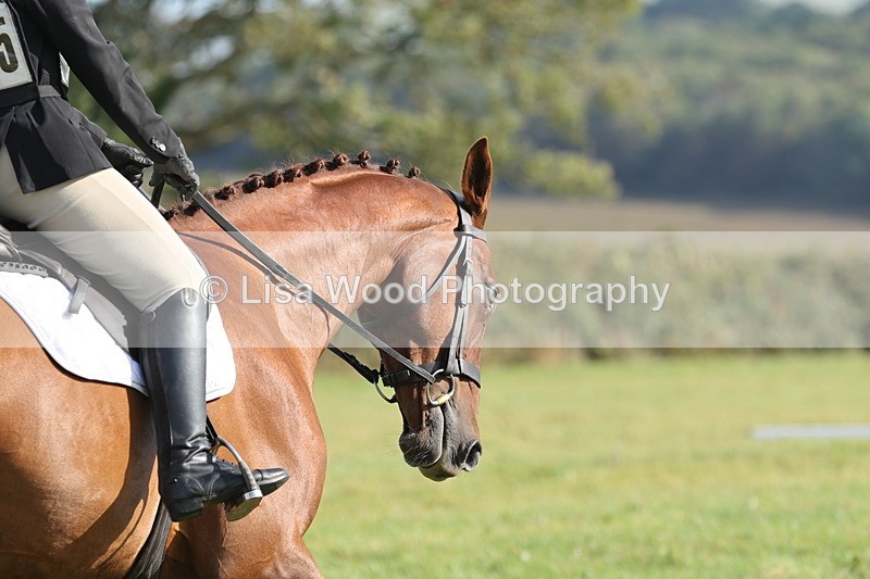 JPP_8029 - Class 2A: Trekenning Open: Dressage