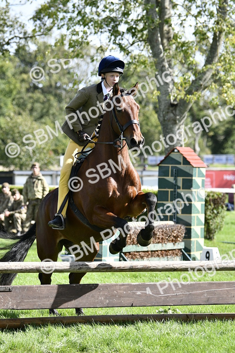 SBM_45706 - S33 - Working Hunter Pony