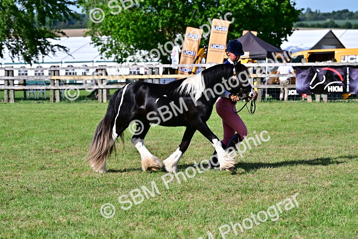 SBM_10008 - Class 63-65 - Traditional Gypsy Cobs In Hand & Ridden