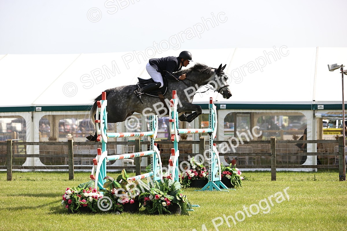 SBM_02942 - Class 201 - British Horse Feedds Speedi Beet HOYS Grade C