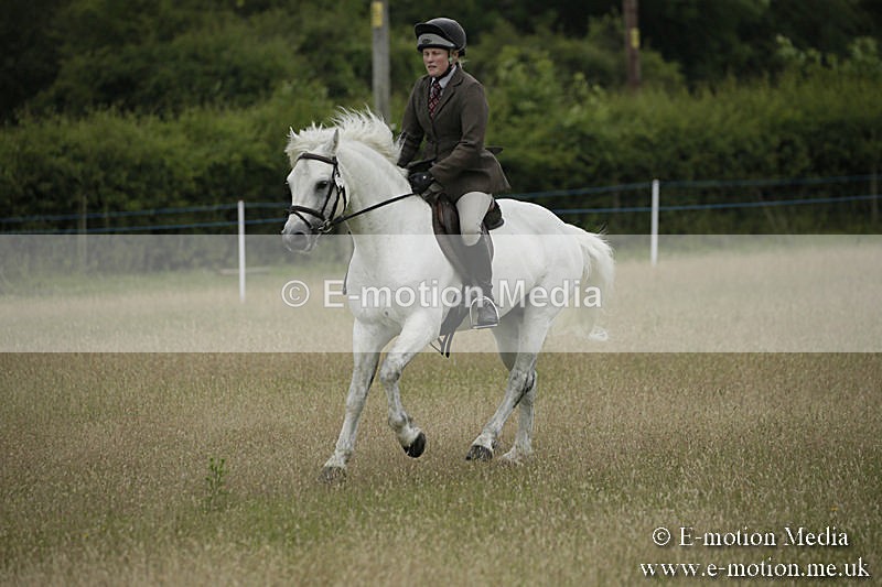 B230619-0111 - Bourne Valley Riding Club Summer Show 23/06/19
