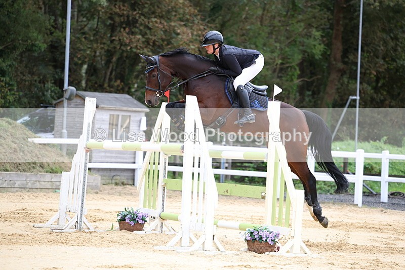 3E7A3399 - Class 9: Senior Foxhunter/1.20 open