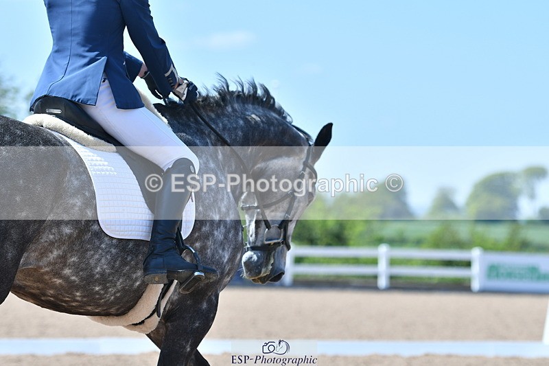 230520A-142836-01504 - Cls 7 Novice 34