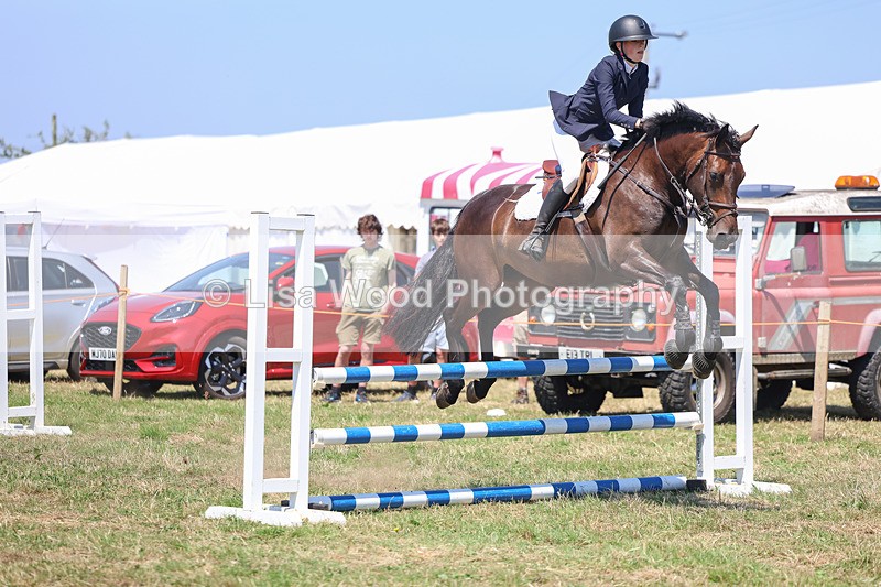 3E7A4450 - Class 10: Senior British Novice/90cm open